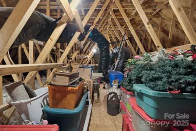 295 Worthington Drive, Mount Ulla, NC 28125 - Photo 36