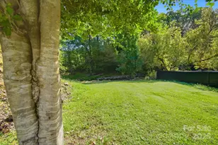 63 Raleigh Ln, Hot Springs, NC 28743 - Photo 4