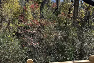 114 Orchard St, Old Fort, NC 28762 - Photo 16