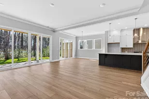 11217 Shreveport Dr, Huntersville, NC 28078 - Photo 14