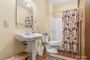 167 Mountain Vis Dr, Saluda, NC 28773 - Photo 44