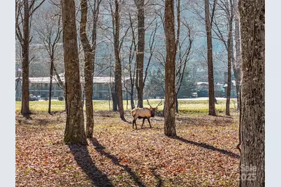74 Badd Lane, Maggie Valley, NC 28751 - Photo 10