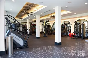 14011 Bespoke Rd, Charlotte, NC 28277 - Photo 10