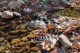 219 Raven Rock Ln, Burnsville, NC 28714 - Photo 2