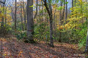 219 Raven Rock Ln, Burnsville, NC 28714 - Photo 10