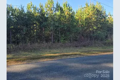 0 Moss Lane, New London, NC 28127 - Photo 4
