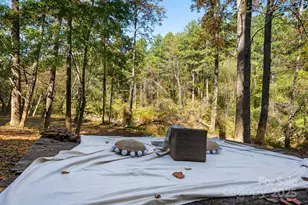 142 Riverside Dr, Rutherfordton, NC 28139 - Photo 32