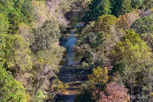 142 Riverside Dr, Rutherfordton, NC 28139 - Photo 46