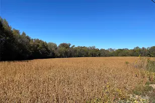 Vac Hwy 52 S Hwy, Norwood, NC 28128 - Photo 1