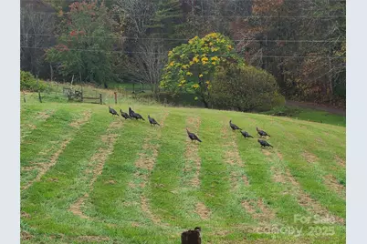 316 Messer Road, Waynesville, NC 28786 - Photo 48