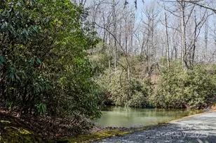 156 & 152 Tarah Ln, Pisgah Forest, NC 28768 - Photo 42