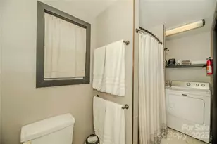 156 & 152 Tarah Ln, Pisgah Forest, NC 28768 - Photo 38