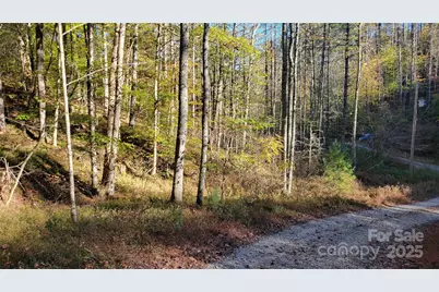 000 Cabin Hill Road, Green Mountain, NC 28740 - Photo 2