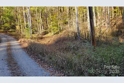 000 Cabin Hill Road, Green Mountain, NC 28740 - Photo 1