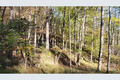 000 Cabin Hill Road, Green Mountain, NC 28740 - Photo 4