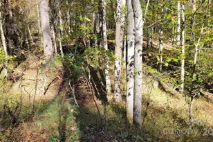 000 Cabin Hill Rd, Green Mountain, NC 28740 - Photo 6