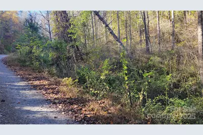 000 Cabin Hill Road, Green Mountain, NC 28740 - Photo 10