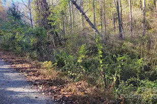 000 Cabin Hill Rd, Green Mountain, NC 28740 - Photo 10