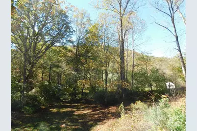 88 E Poplar Drive, Hendersonville, NC 28792 - Photo 16