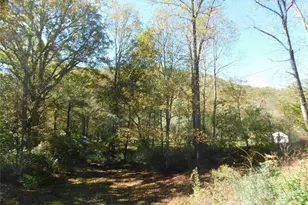 88 E Poplar Dr, Hendersonville, NC 28792 - Photo 16