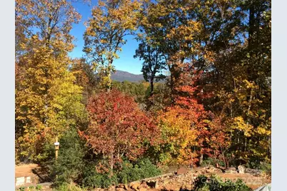 160 Caledonia Road, Landrum, SC 29356 - Photo 2