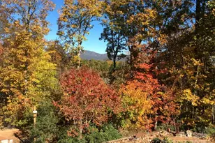 160 Caledonia Rd, Landrum, SC 29356 - Photo 2