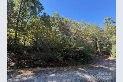 160 Caledonia Road, Landrum, SC 29356 - Photo 44