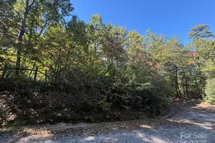 160 Caledonia Rd, Landrum, SC 29356 - Photo 44