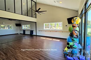 128 Van Gogh Trail, Mount Holly, NC 28120 - Photo 36