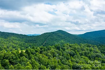 000 Sassafras Drive, Little Switzerland, NC 28777 - Photo 10