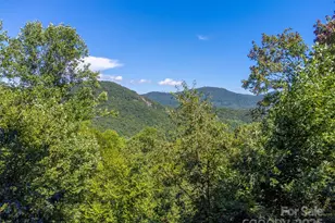 1838 Coman Rd, Franklin, NC 28734 - Photo 4