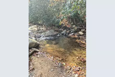 9 Smokey Cove Road, Canton, NC 28716 - Photo 6