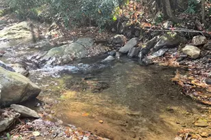 9 Smokey Cove Rd, Canton, NC 28716 - Photo 6