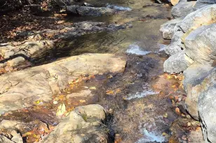 9 Smokey Cove Rd, Canton, NC 28716 - Photo 4