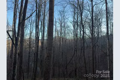 28 Cadillac Pointe, Waynesville, NC 28785 - Photo 10