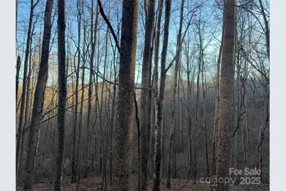 28 Cadillac Pointe, Waynesville, NC 28785 - Photo 8