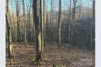 28 Cadillac Pointe, Waynesville, NC 28785 - Photo 1