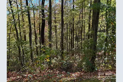 28 Cadillac Pointe, Waynesville, NC 28785 - Photo 16