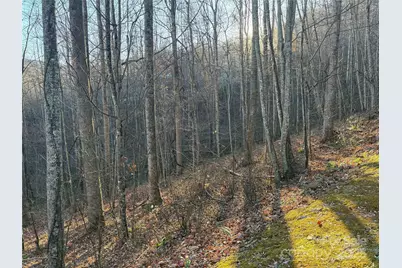 28 Cadillac Pointe, Waynesville, NC 28785 - Photo 6