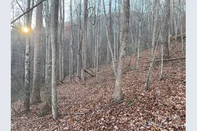 28 Cadillac Pointe, Waynesville, NC 28785 - Photo 12