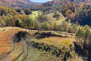 Tbd Day Book Dr, Burnsville, NC 28714 - Photo 16