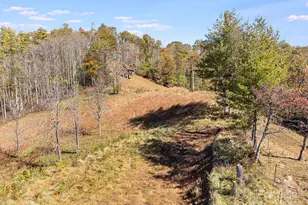 Tbd Day Book Dr, Burnsville, NC 28714 - Photo 24