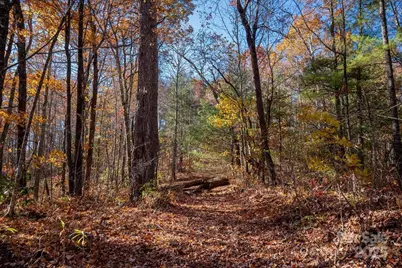 Tbd Old Toxaway Road, Brevard, NC 28712 - Photo 14