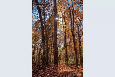 Tbd Old Toxaway Road, Brevard, NC 28712 - Photo 6