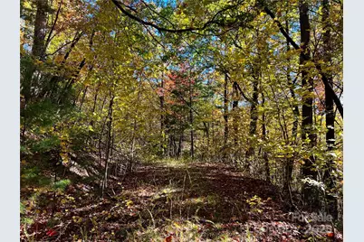 Tbd Old Toxaway Road, Brevard, NC 28712 - Photo 18