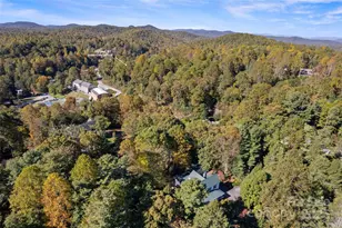 35 Towhee Ln, Saluda, NC 28773 - Photo 44