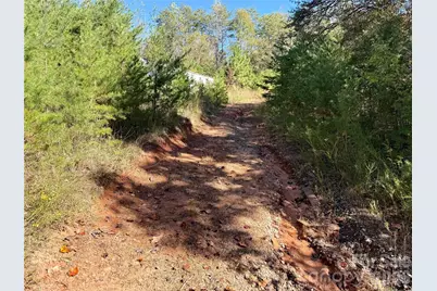229 Kelsey Lane, Rutherfordton, NC 28139 - Photo 26