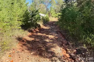 229 Kelsey Ln, Rutherfordton, NC 28139 - Photo 26