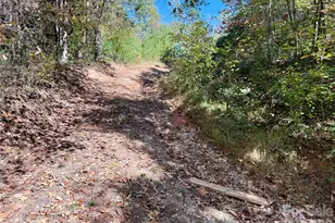 229 Kelsey Ln, Rutherfordton, NC 28139 - Photo 6