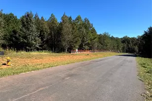 7427 Kates Grove Way, Huntersville, NC 28078 - Photo 8